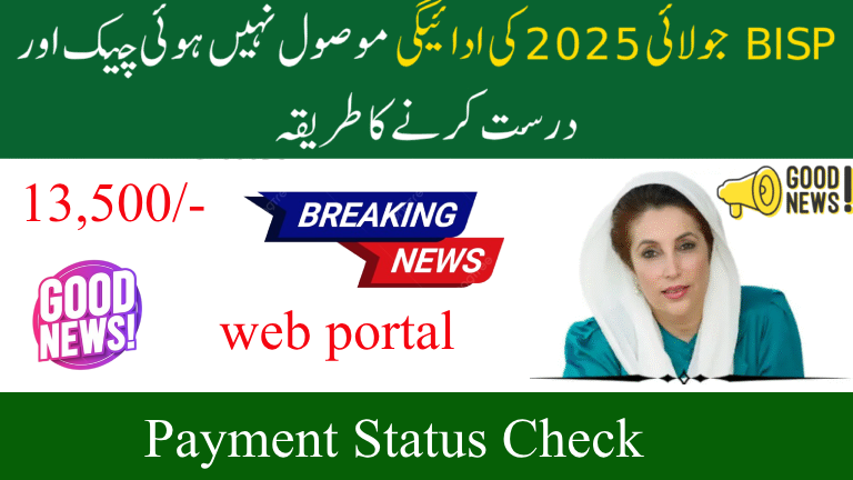 BISP July 2025 Payment Status Check – Your Complete Guide