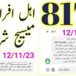 🔑 Focus Keywords Tags 8171 Ehsaas Program, BISP Rs 25000, Ehsaas 8171 2025, BISP eligibility check, 8171 CNIC check, 8171 web portal, 8171 registration, Ehsaas Program 25000