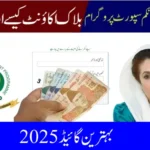 How to Reactivate a Blocked BISP 8171 Account, The Best Guide 2025