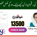 احساس 8171 رجسٹریشن 2025 – مکمل مرحلہ وار گائیڈ اردو میں