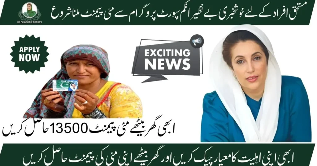 احساس 8171 ویب پورٹل – اپنی اہلیت چیک کریں اور 25,000 روپے کی امداد حاصل کریں