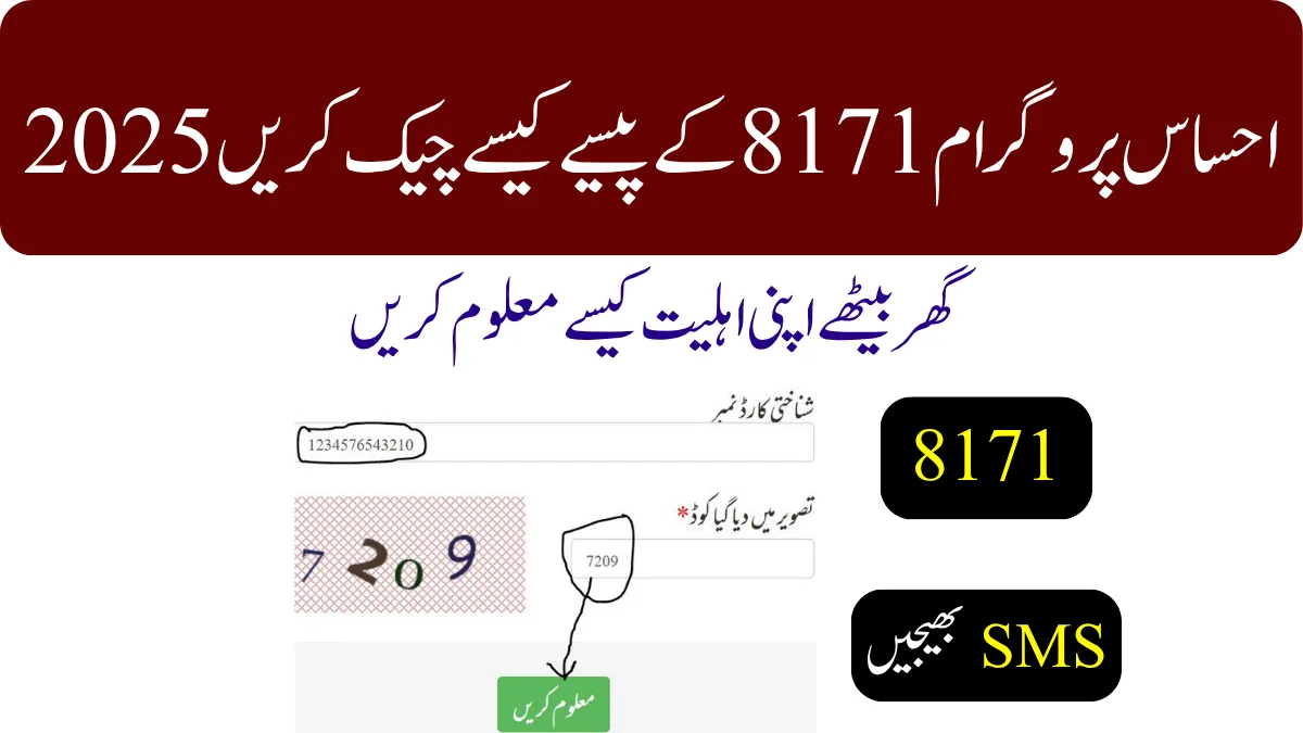 احساس پروگرام 8171 کے پیسے کیسے چیک کریں؟