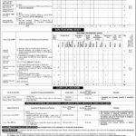 FGEI Jobs 2025 – Federal Government Educational Institutions (Cantt/Garrison) Vacancies