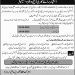 Government Job Opportunity in Bahawalpur