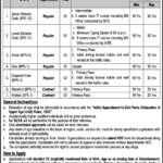 Government Jobs 2025 | Islamabad-Based Organization Announces Multiple Vacancies