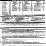 UET Taxila Jobs 2025